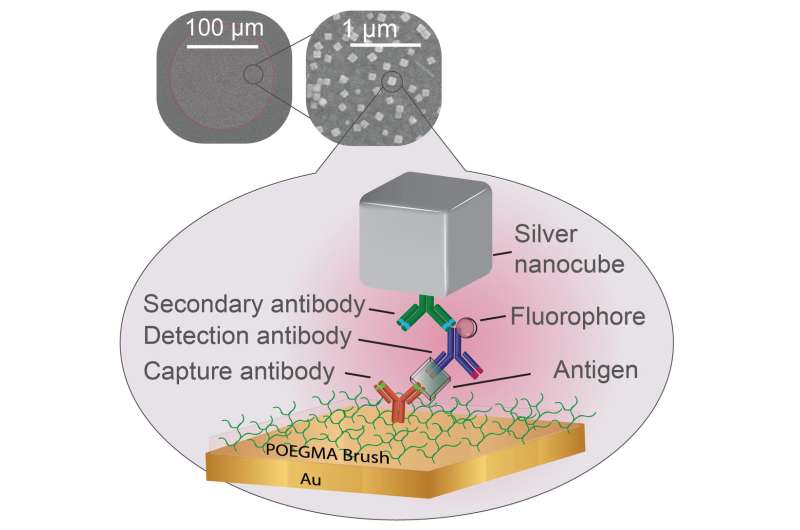 Silver nanocubes make point-of-care diagnostics easier to read