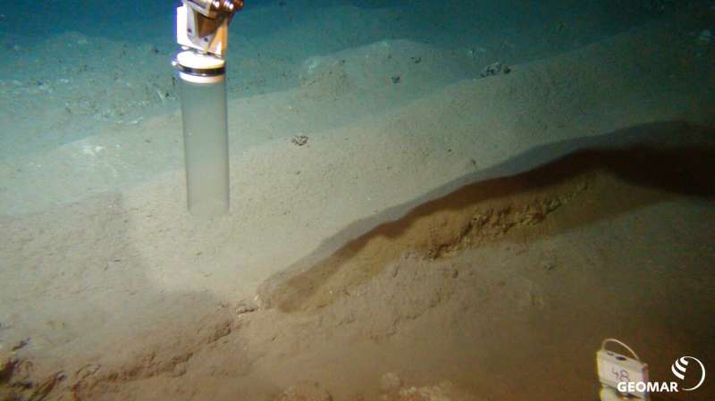 Simulated deep-sea mining affects ecosystem functions at the seafloor