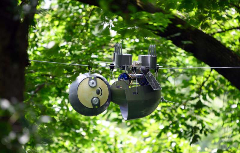 'SlothBot in the Garden' demonstrates hyper-efficient conservation robot