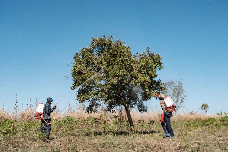 Soldiers have been deployed in Uganda to spray trees and savannas in a bid to beat back the infestation