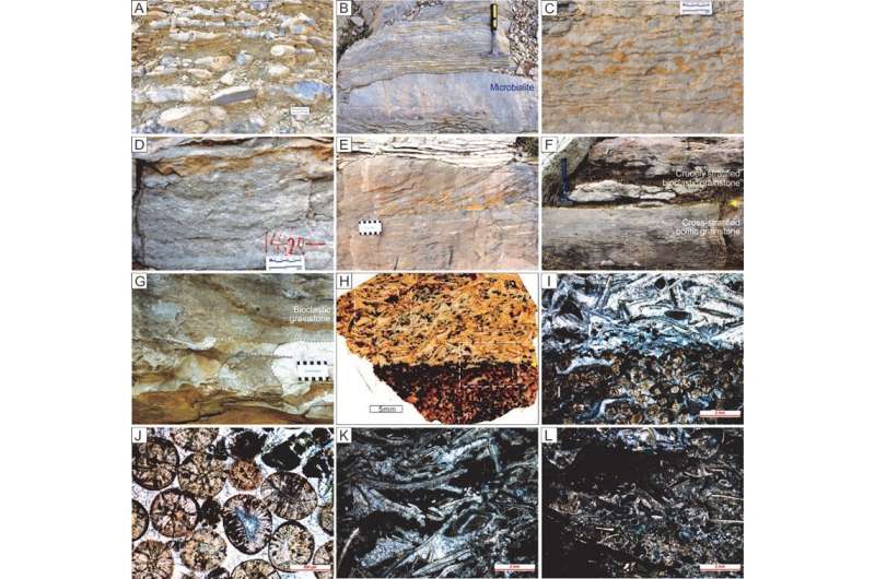 Spatial variation in carbonate carbon isotopes during cambrian SPICE event across eastern North China