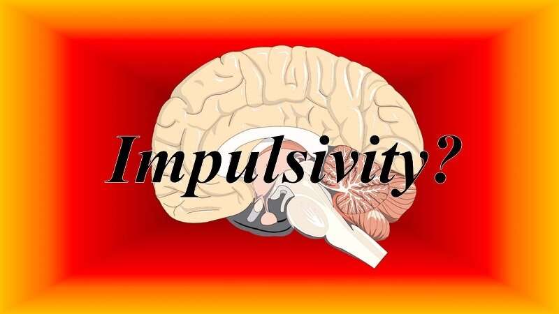 Stop using term ‘impulsivity’ to describe behavior or personality traits, psychologists say