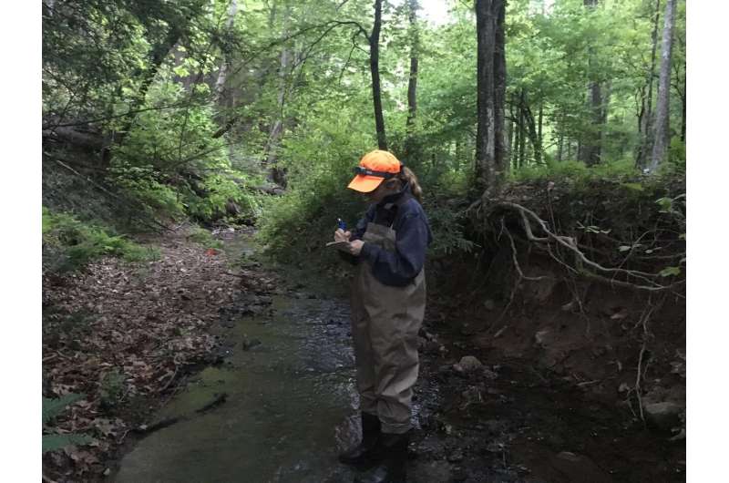 Stream pollution from mountaintop mining doesn't stay put in the water
