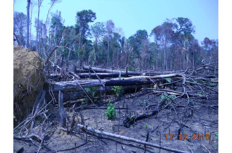 Study links malaria risk in deforestation hotspots to demand for agricultural commodities