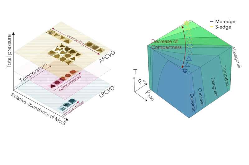 Study: Mapping crystal shapes could fast-track 2D materials