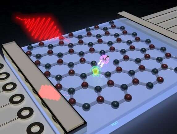 Study puts spin into quantum technologies