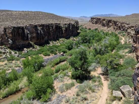 Study uses remote sensing to monitor groundwater along river corridors in the Southwest
