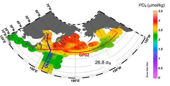 Subpolar marginal seas play a key role in making the subarctic Pacific nutrient-rich