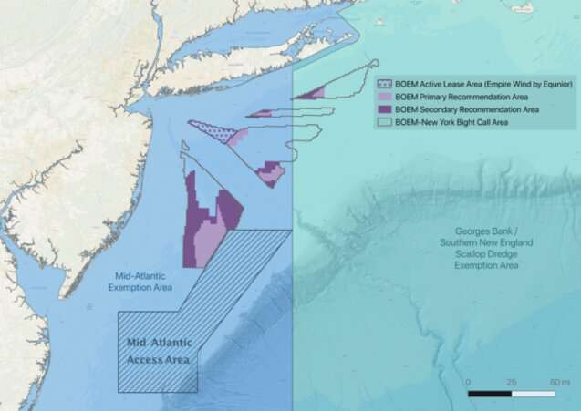 Success of New York offshore wind industry depends on collaboration with scallop fishery