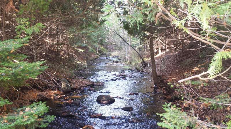 Summer road trip finds small streams have big impacts on Great Lakes