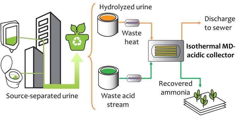 Sustainable recovery of nutrients from urine