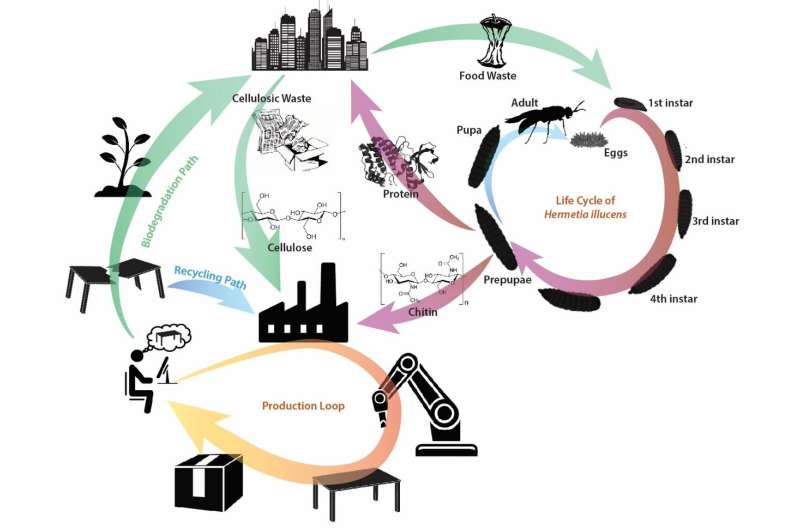 SUTD develops missing link to circular economy while tackling global waste