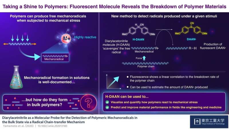 Taking a shine to polymers: Fluorescent molecule betrays the breakdown of polymer materials