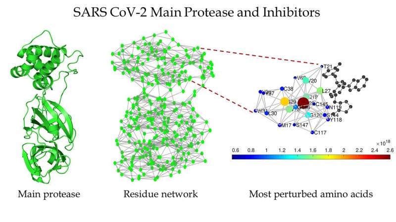 Targeting SARS-CoV-2 enzyme with inhibitors