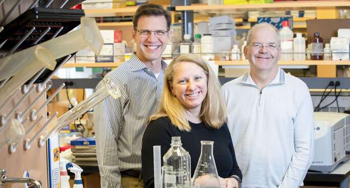 Team tracks integrin’s role in lung function