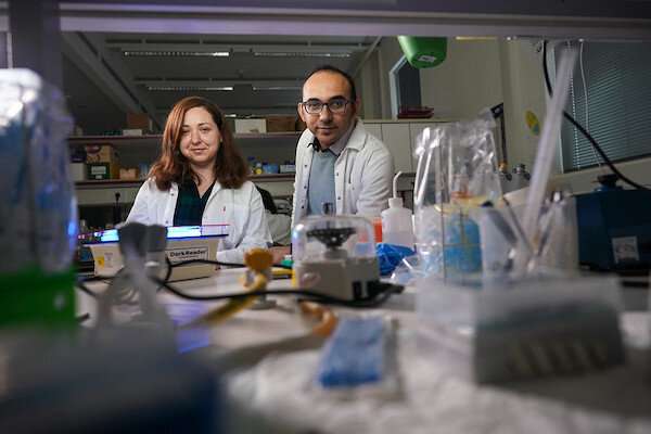 Technion Researchers Turn Bacterial Cell Into Biological Computer