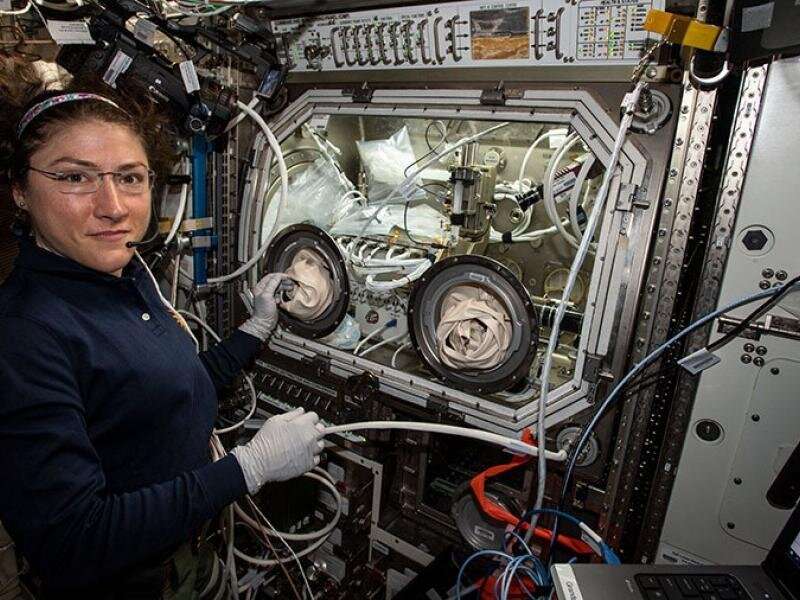 Technology used in space experiments could reveal key information about human health