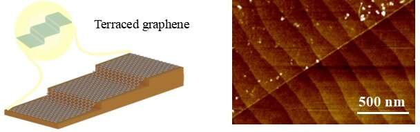 Terraced graphene for ultrasensitive magnetic field sensor