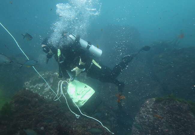 Testing seawater of the future? A study at Whakaari/White Island