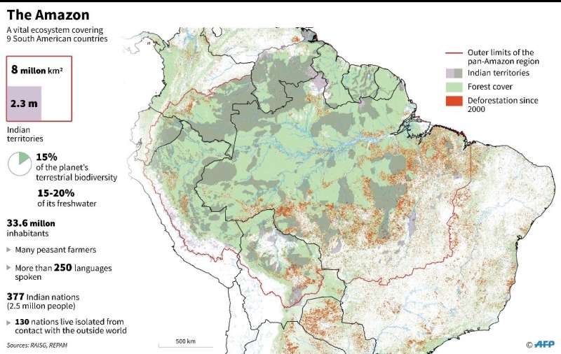 The Amazon's dense tropical canopy stores a huge amount of carbon and soaks up 25 to 30 percent of the CO2 humanity spews into t