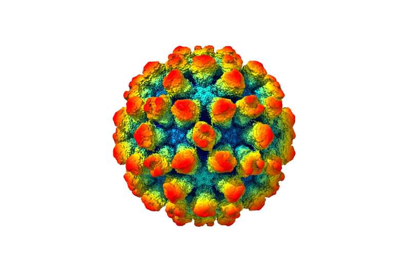 The architecture of a 'shape-shifting' norovirus