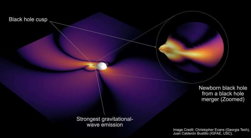 The black hole always chirps twice: Scientists find clues to decipher the shape of black holes