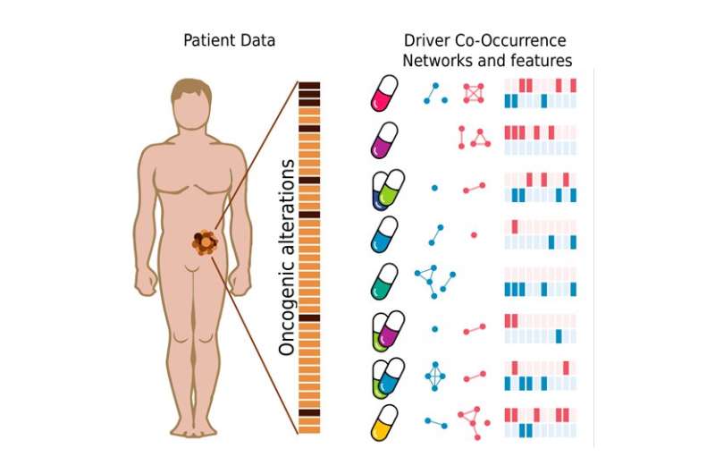 The co-occurrence of cancer driver genes, key to precision medicine