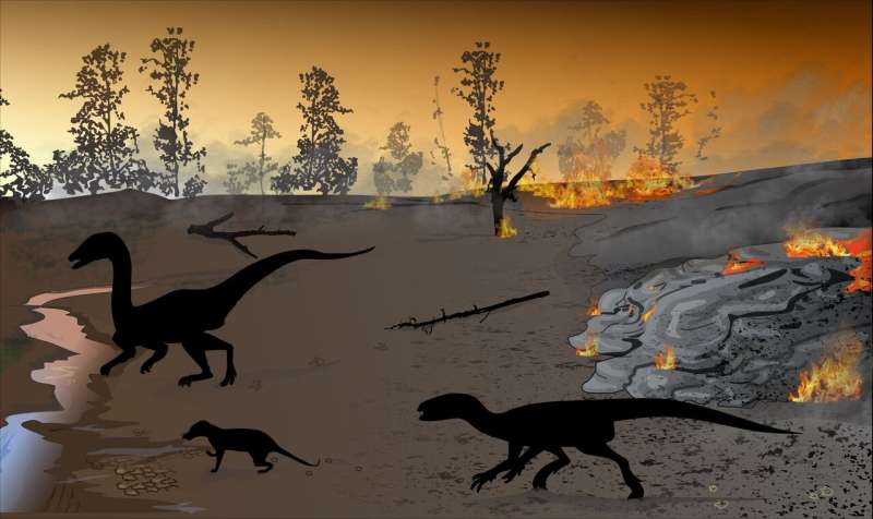The 'firewalkers' of Karoo: Dinosaurs and other animals left tracks in a 'land of fire'