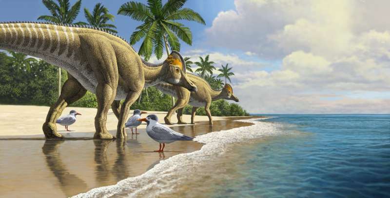 The first duckbill dinosaur fossil from Africa hints at how dinosaurs once crossed oceans