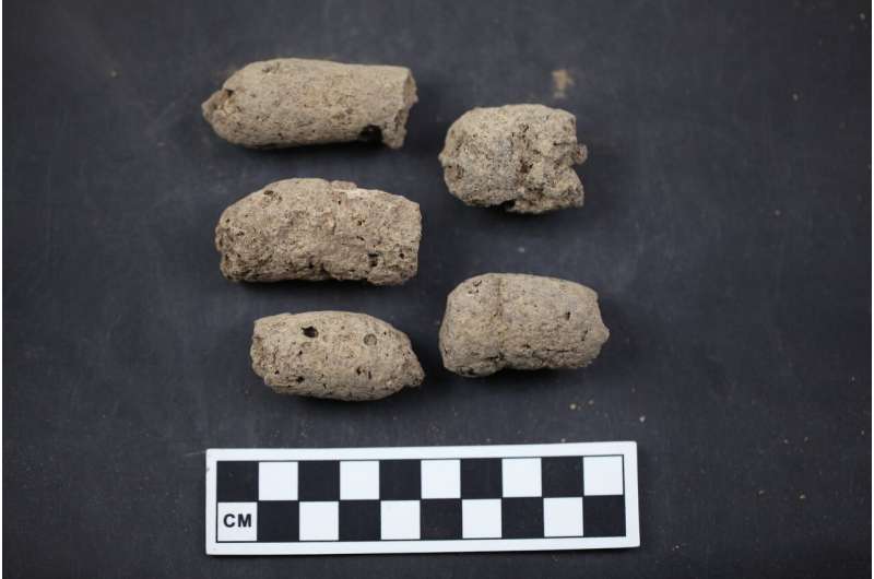 The origin of feces: coproID reliably predicts sources of ancient poop