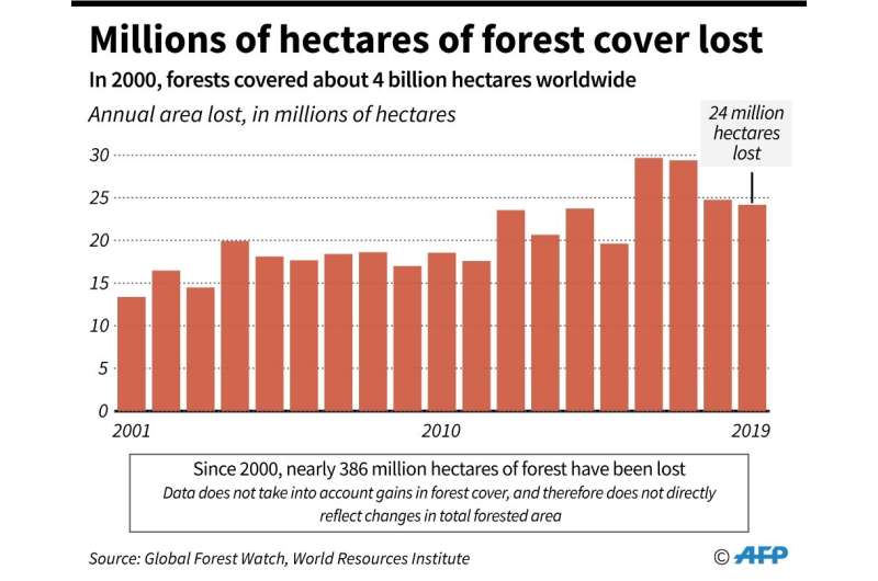 The planet lost 24 million hectares in forest cover in 2019