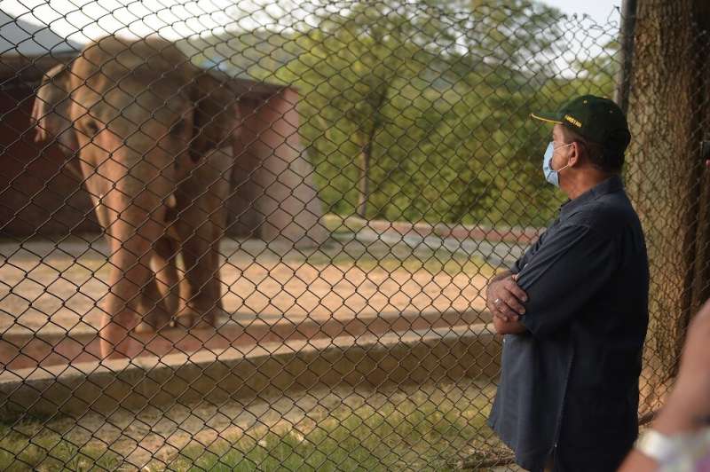 The plight of Kaavan, an overweight, 35-year-old bull elephant has drawn international condemnation