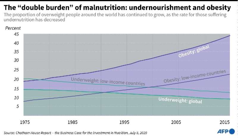 The &quot;double burden&quot; of malnutrition: undernourishment and obesity