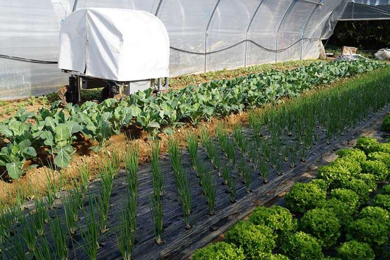 The robots weeding organic farms and patrolling for greenhouse pests