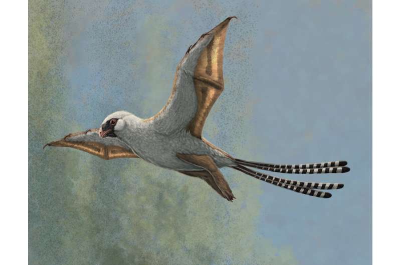 These two bird-sized dinosaurs evolved the ability to glide, but weren't great at it
