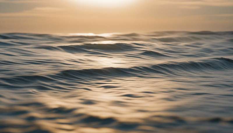 The story of a wave: from wind-blown ripples to breaking on the beach