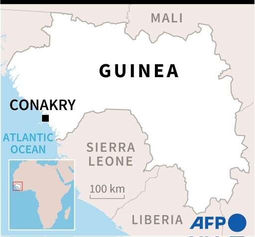 The tiny community of apes lives in a forest in the far southeastern corner of Guinea