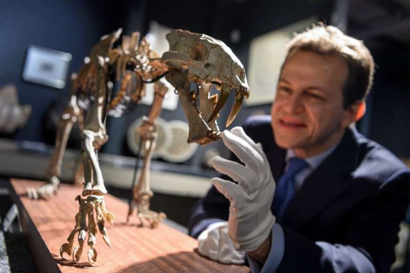 'This fossil is exceptional,' says Bernard Piguet of the auction house selling it
