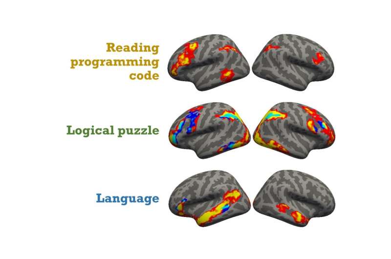 This is your brain on code: JHU deciphers neural mechanics of computer programming