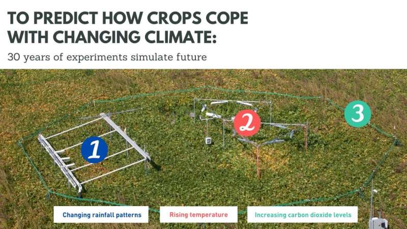 To predict how crops cope with changing climate, 30 years of experiments simulate future