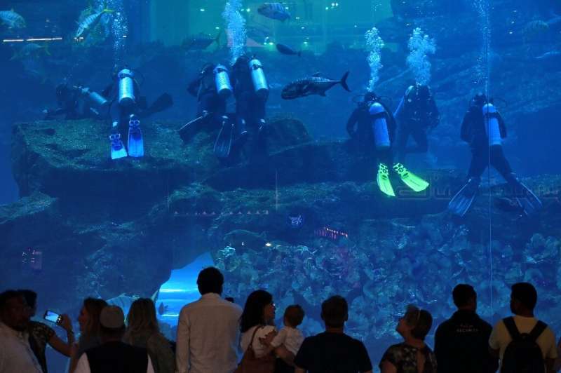 Tourists and locals weeks ago at the Dubai Mall aquarium in downtown Dubai