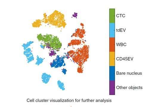 Tracking tumour cells and unraveling hidden information