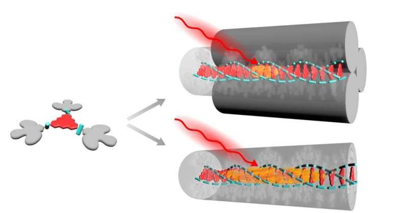 Transporting energy through a single molecular nanowire