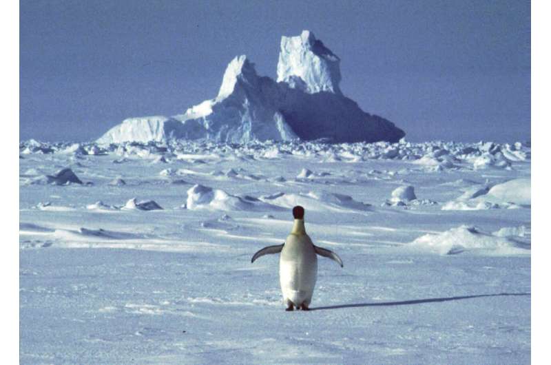UN: Antarctic high temp records will take months to verify