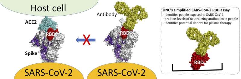 UNC-Chapel Hill researchers create new type of COVID-19 antibody test