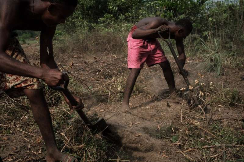 Undeterred by chronic oil pollution, fishermen in K-Dere village clear the land to plant cassava