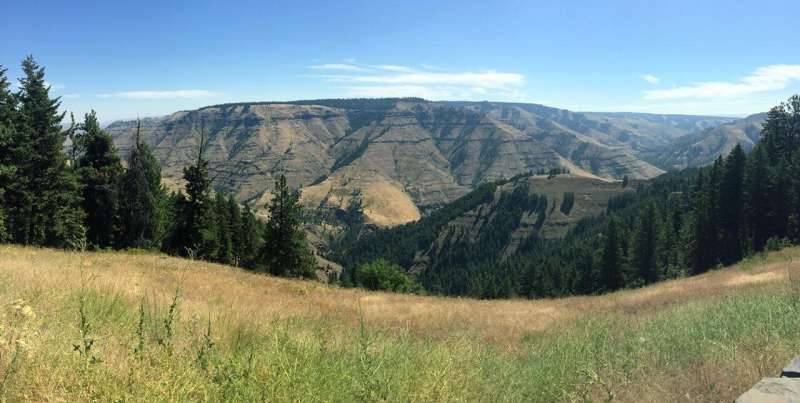 Uplifting of Columbia River basalts opens window on how region was sculpted