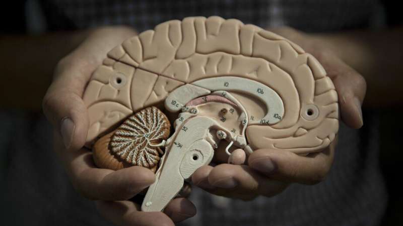 Using brain imaging to pierce the mystery of human behavior