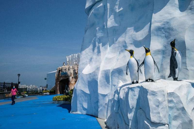 Usually the penguins at Hong Kong's Ocean Park draw large crowds, but it is shut because of the coronavirus pandemic