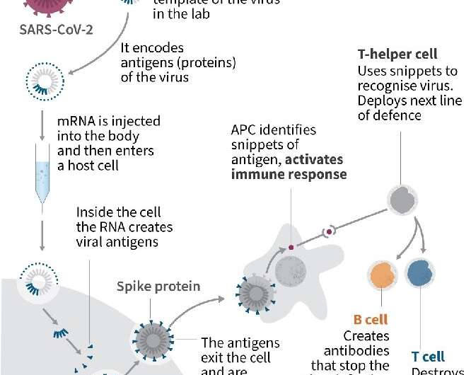 Vaccine: triggering immunity from the genetic code